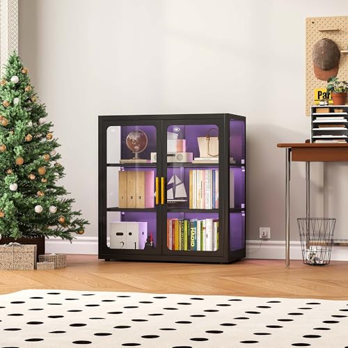Glass Cabinet Display - Vetrina con Porte in Vetro e